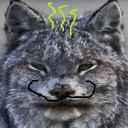 Inumis-Inumis_Models icon