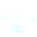 Iqsbasiczz-Regular_SMLE icon