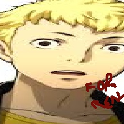 Irados69-RyujiSkull3DModel icon