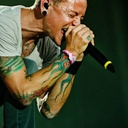 Irrsinn-Chester icon