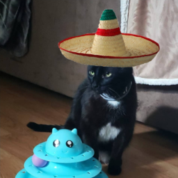 ItaltianMex-ItaltianMex icon