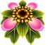ItsHeckinPat-Pat_FastFlowerLaunch-1.0.0 icon