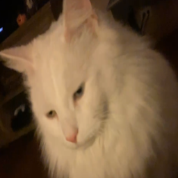 ItsYaBoiAlex1124-Another_Lethal_Modpack icon