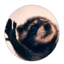 JKL1226-GeiCueva icon