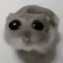 Jajajecocojumbo-Wincyj_Strojuf icon