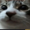 Jajis-MONKEY_PACK icon