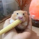 JakeTraxx-DangerCompany icon