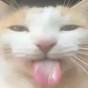 Janobuzi-Norbinakspecialba icon