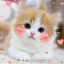 JaySw333zy-Pache_Pache_Pache_Dropship icon