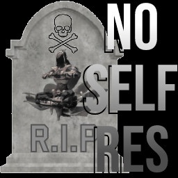 Jeffdev-NoSeekerSelfRevive icon