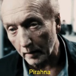 Jigsaw_Apprentices-Gugs_Ultimatum icon