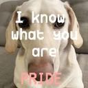 Jivicks-InvBackgroundPride icon