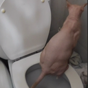 JmodPack-mod_JP_ack icon