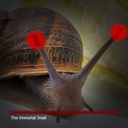 JohnLethalCompany-GiantDadSnail icon