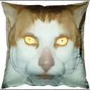 Jukewl-MondayCatSuit icon