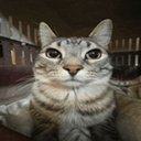 Jurson-PolishRock2 icon