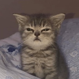 JustXul-JustXuls_Xanctum_Modpack icon