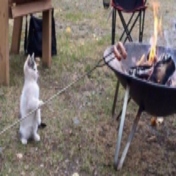 Just_ME_FOREVER-Pain_And_Pleasure icon