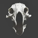 Just_team-SurviveHorrors icon