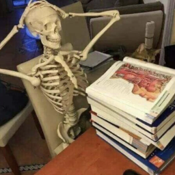 KINGskeleton-KINGbone_v3 icon