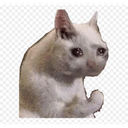 KK_Bois-KK_Funpack icon