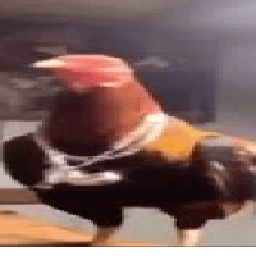 KOKE-KokeJester icon