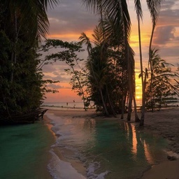 KURWABOBER-KURWABOBER icon