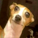 KaawS-TrincaXota icon