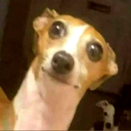 KaawS-TrincaXota icon