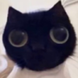 KageS-BoyzCompany icon