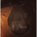 KainKondraki-No_More_Cocoons icon