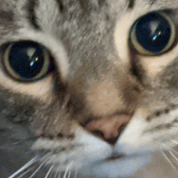 KaitoFletcher-Kaito_Mods icon