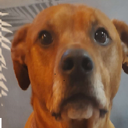 Karys-Karys_Stuff icon