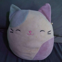 Katfi-KatsClientPack icon