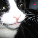 Katzo-Katzos_Maps icon