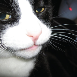 Katzo-Katzos_Maps icon