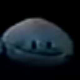 KelpTriesToMod-KelpMod icon