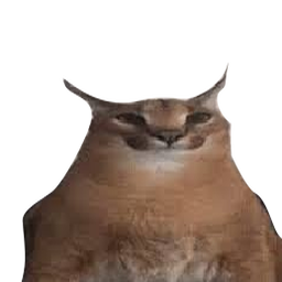 Kesomannen-GaleExportTest icon