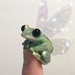 Kevinatorrrr-Frog_KiwiTheFrog icon