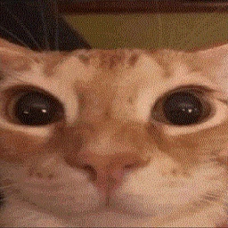 Khalmee-Uniboi_Nose_Art icon