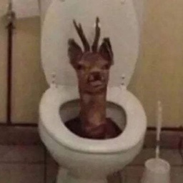 KillerB-KillerBsuits icon