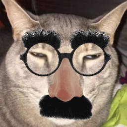 Kn0xxy-Zumpack3 icon