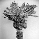 KnotGames-KnotTraining icon