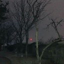 KohakuKoi-Call_of_the_void icon