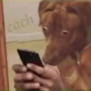 LIVELYbe-A_Lively_Modpack icon