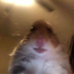 LRTeam-Client_side_modpack icon