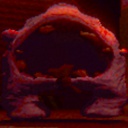 LanguidRat-BowtieScream icon