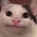 LateNighties-LateNighties_Beluga icon