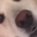 LeGrosRem-RemBoomboxPlaylist icon