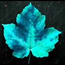 Leaves-LeavesModPack icon
